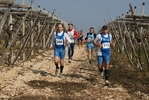 gall_1473.jpg