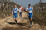 gall_1474.jpg