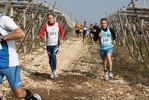 gall_1475.jpg
