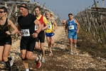 gall_1480.jpg