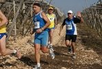 gall_1481.jpg