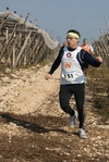 gall_1484.jpg