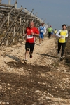 gall_1489.jpg