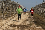 gall_1494.jpg