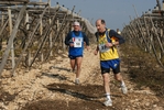 gall_1498.jpg