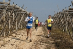 gall_1501.jpg