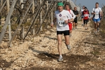 gall_1509.jpg