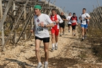 gall_1510.jpg