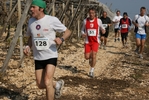 gall_1511.jpg