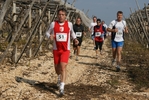 gall_1512.jpg