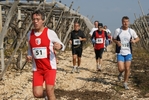 gall_1513.jpg