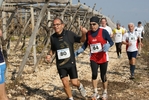 gall_1517.jpg