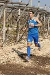 gall_1569.jpg