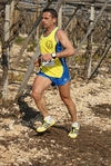 gall_1583.jpg