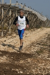 gall_1587.jpg