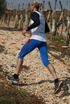 gall_1592.jpg