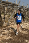 gall_1612.jpg