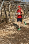 gall_1618.jpg