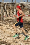gall_1620.jpg