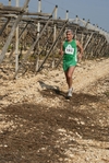 gall_1627.jpg