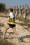gall_1638.jpg