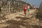 gall_1652.jpg