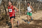 gall_1653.jpg