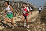 gall_1656.jpg