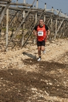 gall_1665.jpg