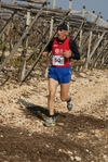gall_1681.jpg