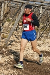 gall_1682.jpg