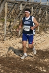 gall_1717.jpg
