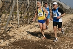 gall_1753.jpg
