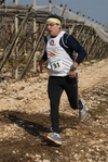 gall_1771.jpg