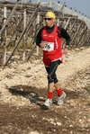 gall_1783.jpg