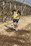 gall_1785.jpg