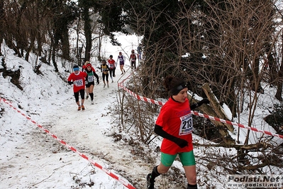 Clicca per vedere l'immagine alla massima grandezza