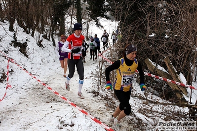 Clicca per vedere l'immagine alla massima grandezza