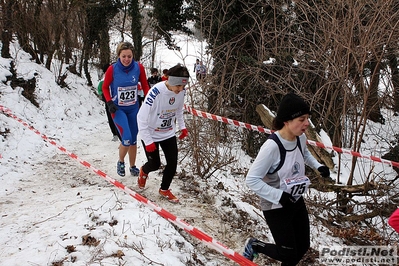 Clicca per vedere l'immagine alla massima grandezza