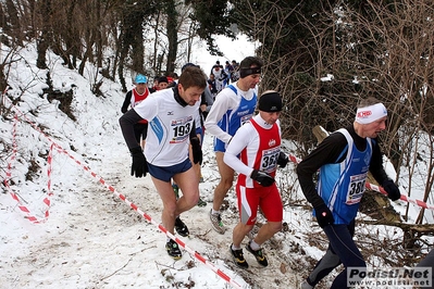 Clicca per vedere l'immagine alla massima grandezza