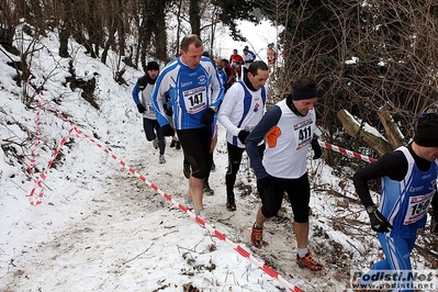 Clicca per vedere l'immagine alla massima grandezza
