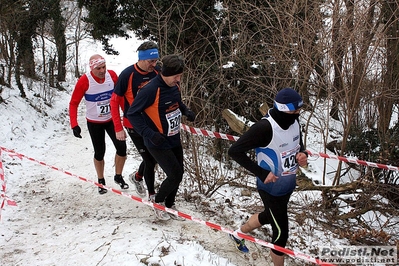 Clicca per vedere l'immagine alla massima grandezza