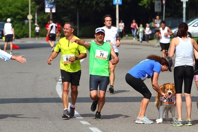 Clicca per vedere l'immagine alla massima grandezza