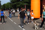 maratona279.jpg