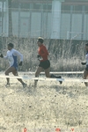 IMG_2646.jpg