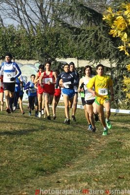 Clicca per vedere l'immagine alla massima grandezza