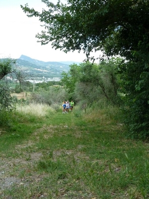 Clicca per vedere l'immagine alla massima grandezza