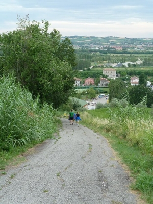 Clicca per vedere l'immagine alla massima grandezza