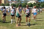 2227.jpg