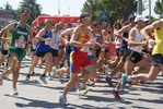 Nome del file=2315.jpg
Dimensione del file=153KiB
Dimensioni=1024x685
Aggiunta il=05 Giu 2012 2315.jpg
